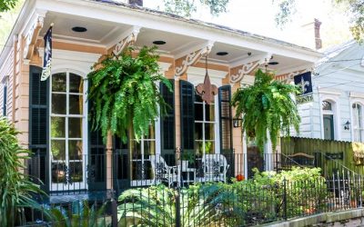 Buying a House in New Orleans? Get a Termite Inspection.