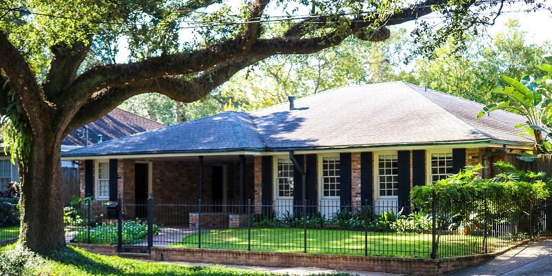 New Orleans Homebuyers Should Consider Wood-Destroying Insect Inspection 