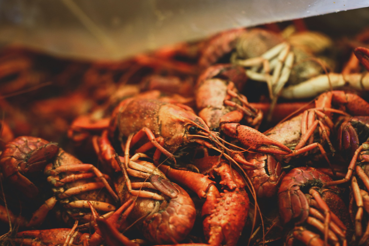 Broadmoor, New Orleans Homes for Sale Satsuma Real Estate