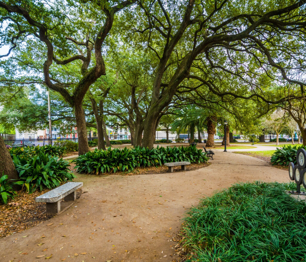 Marigny, New Orleans Homes for Sale Satsuma Real Estate