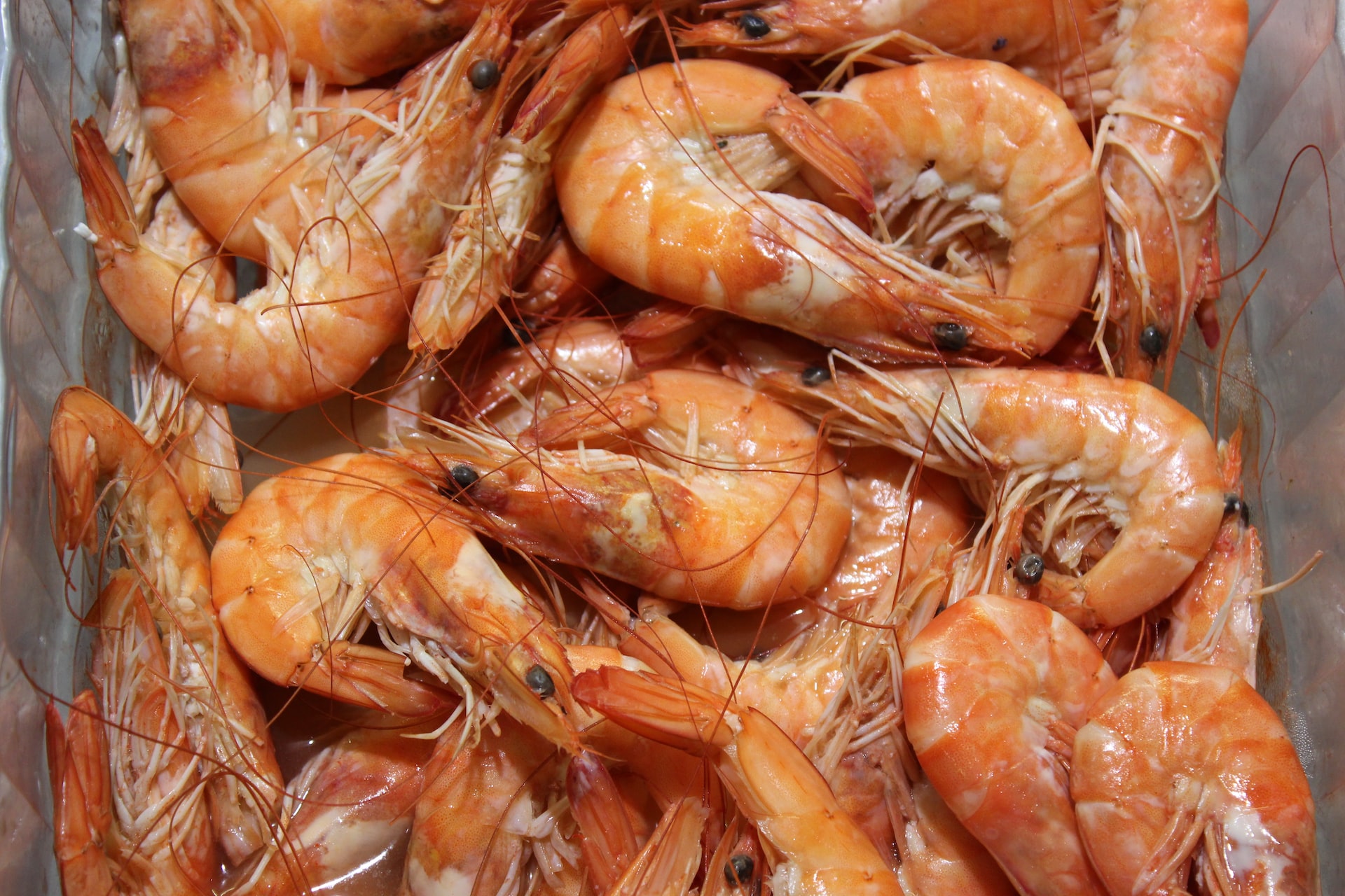 Boiled Shrimp in Central City
