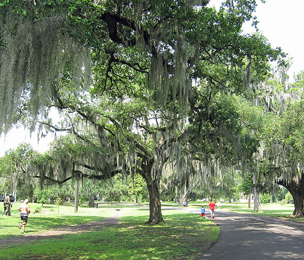 Audubon Park