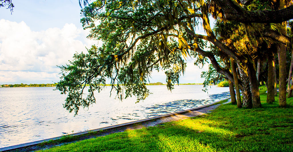 Public Park With Water