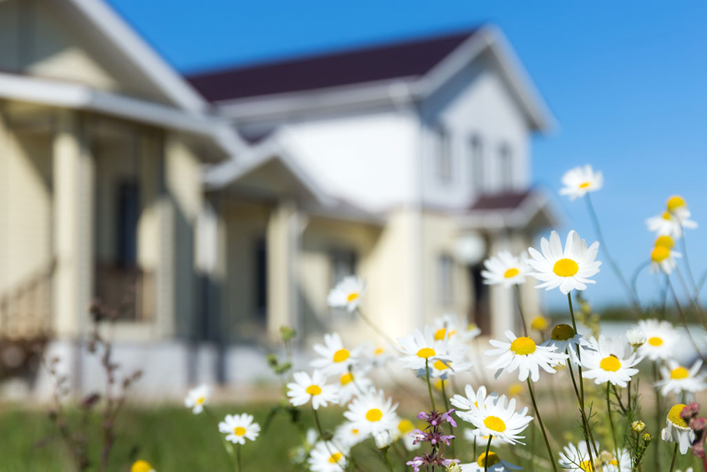 Flowers in Front of Blurred New Orleans Home