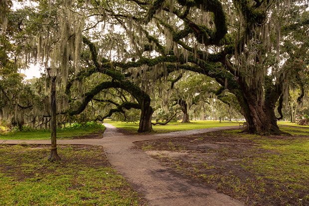 City Park, Mid-City, New Orleans